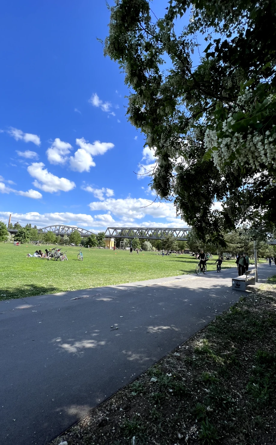 Mit dem Rollstuhl in einem Berliner Park